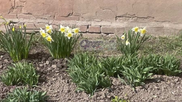 Какая погода на выходных 4-5 апреля ожидается в Курской области