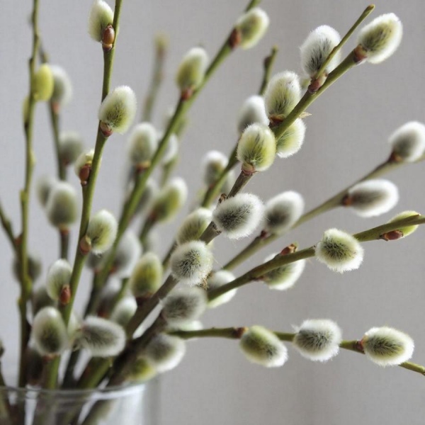 Циклон обрушит на Курскую область заморозки и снег