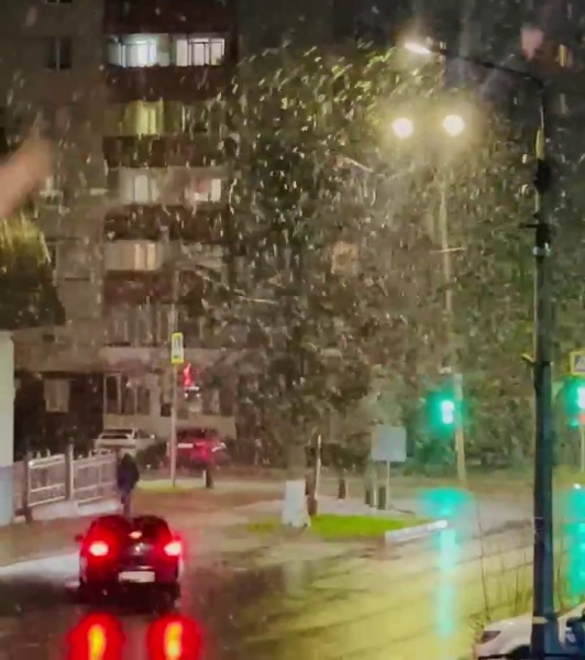 В Курске 20 апреля пошел снег