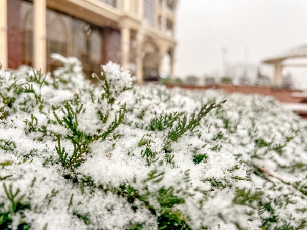 Ныряющий циклон обрушит на Курскую область снег и штормовой ветер