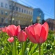 На Курскую область надвигается резкое потепление