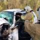 В Курской области погиб водитель в аварии с погрузчиком