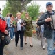 В курском приграничье 9 Мая провели автопробег и шествие