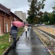 Рабочая неделя в Курске начинается с дождей, они ожидаются каждый день