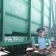В Курской области выявили семена опасного растения в подсолнечнике из Казахстана