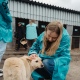 Около 15 тонн макулатуры и корма для животных собрали юные куряне в рамках проекта «Бумажная лайка» от партии «Новые люди»