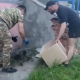 По улицам Курска бегал дикий енот