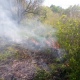 Под Курском тушили горящий овраг