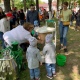 В Курске пройдет агрофестиваль