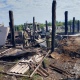 В Курской области сгорело подворье, автомобили и трактор, 60 овец и поросят