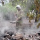 В Курской области потушили пожар на подворье