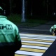 В Курске на 105 участках нанесут дорожную разметку