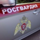 В Курской области при разминировании погиб взрывотехник Росгвардии