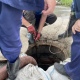 В Курске провалился канализационный коллектор