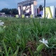 В Курске на Полугоре 11 июля пройдет семейный фестиваль «Под покровом любви»