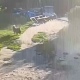 В Курске раскрыли кражу саквояжа с ценными вещами. Воришкой оказалась собака