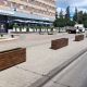 В Курске на улице Ленина вдоль дороги создают живую изгородь