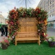 В центре Курска появилась новая фотозона