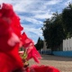 В Курскую область после аномальной жары придет похолодание