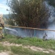 В Курской области потушили горящую лесопосадку