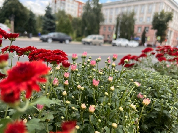 На Курскую область надвигается антициклон с субтропическим воздухом