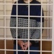 В Курской области напавшему на инспектора ДПС грозит до 20 лет лишения свободы