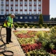 В Курске увеличили полив клумб из-за жары