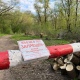 В Курской области ввели запрет на посещение лесов. Что делать грибникам?