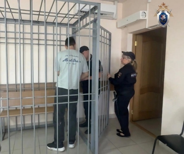 В Курске подросток зарезал и забил молотком спящую мать