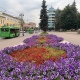 В Курской области 5 сентября ожидается до +25 градусов, дожди и грозы