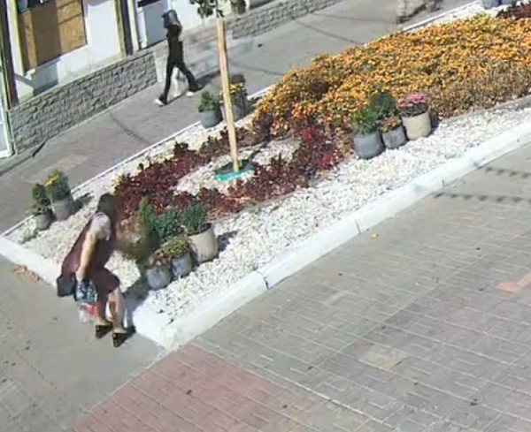Мэр Курска опубликовал видео женщины, которая уничтожила клумбы на улице Ленина