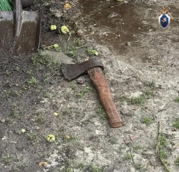Под Курском пенсионер набросился с топором на соседку и едва не убил ее