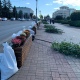 В Курске на улице Ленина высадили липовую аллею