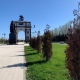 Сохнущие деревья в парке «Патриот» в Курске объяснили «некачественной посадкой»