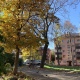 В Курской области 26 октября ожидается до +15 градусов