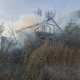 В Курской области сгорел дом