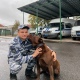 Собачье дело. Как работают собаки в курской полиции