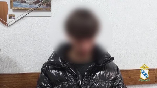 Бил бутылки ради хайпа в соцсетях. В Курске полицейские задержали 14-летнего школьника