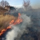 В Курской области рядом с поселком горело поле с травой