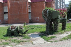 «Слоны» «пасутся» на Студенческой «Слоны» «пасутся» на Студенческой