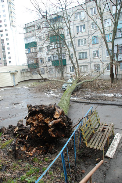 Ольга Манжос: «Автомобиль превратился в груду металла – восстановить его невозможно!» Ольга Манжос: «Автомобиль превратился в груду металла – восстановить его невозможно!»