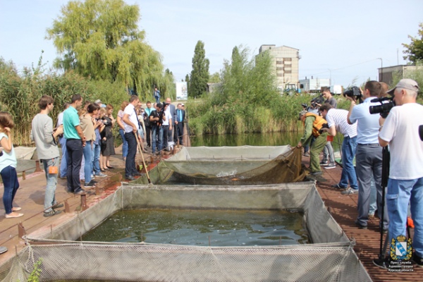Журналисты поучаствовали в зарыблении водоема-охладителя Журналисты поучаствовали в зарыблении водоема-охладителя