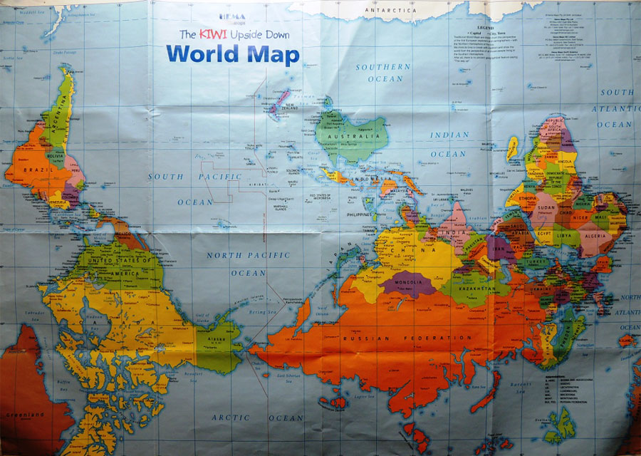 Как Киви смотрят на мир Как Киви смотрят на мир