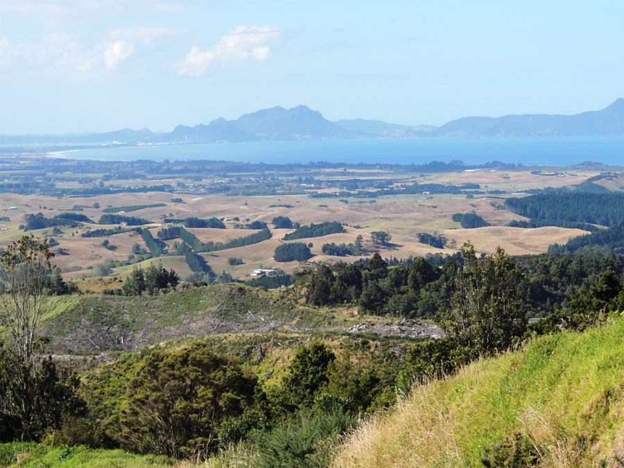 Новая Зеландия Новая Зеландия