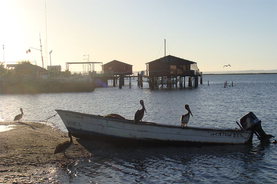 Побережье Калифорнийского залива Побережье Калифорнийского залива