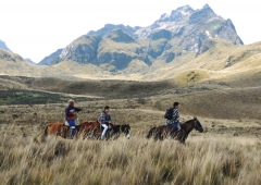 Конные прогулки в окрестностях вулкана Пичинча Конные прогулки в окрестностях вулкана Пичинча
