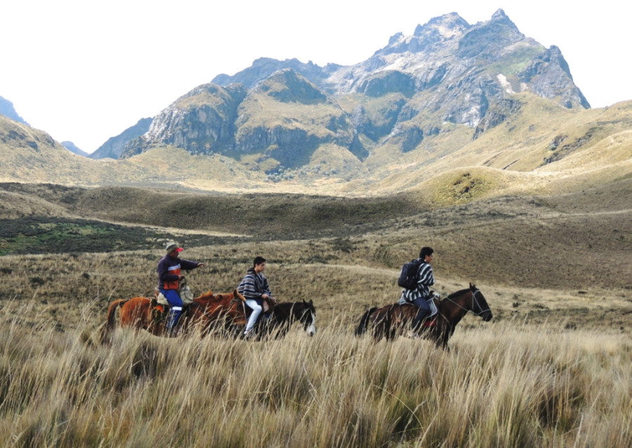 Конные прогулки в окрестностях вулкана Пичинча Конные прогулки в окрестностях вулкана Пичинча