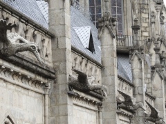 Каменные бакланы в декоре Базилики Дель-Вото-Насиональ Каменные бакланы в декоре Базилики Дель-Вото-Насиональ