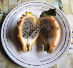 Питайя, конечно, не манго но и не огурец. По вкусу ближе всего к киви Питайя, конечно, не манго но и не огурец. По вкусу ближе всего к киви