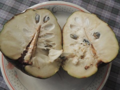 Чиримойя Чиримойя